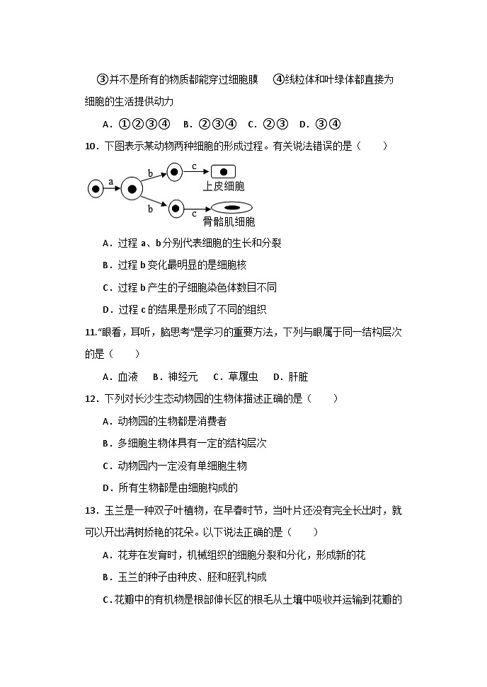 山东省东营市利津县2023-2024学年八年级下学期3月份月考生物试题03