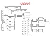 第九章++动物的运动和行为++复习课件-2023-2024学年京改版生物八年级上册