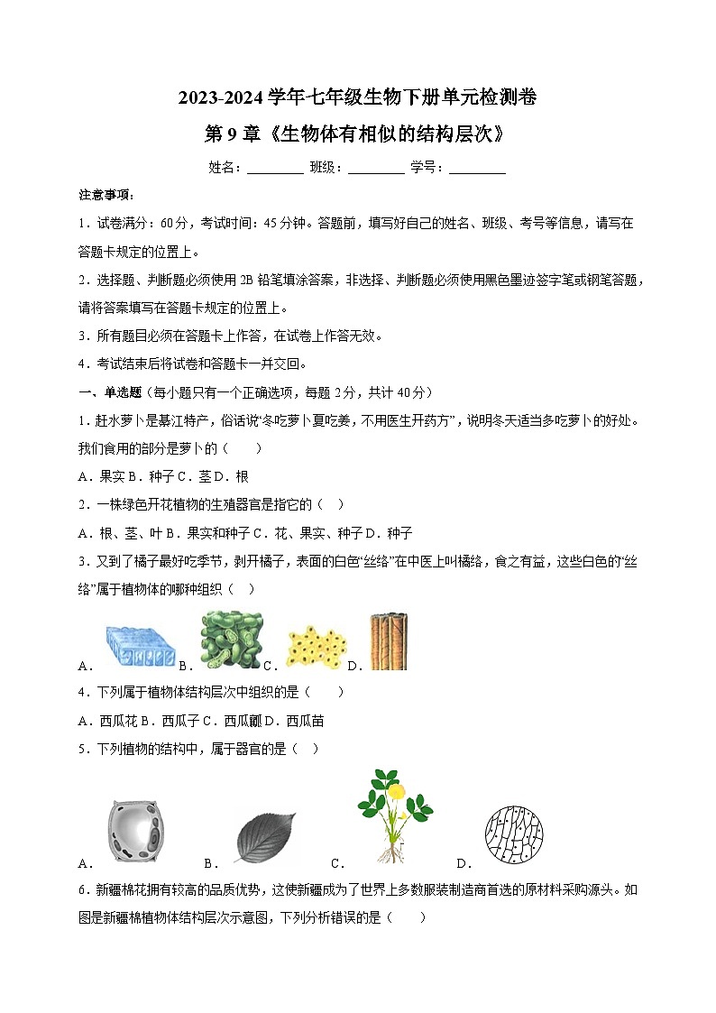 2023-2024学年苏科版七年级生物下册第9章《生物体有相似的结构层次》检测卷（含答案解析）01