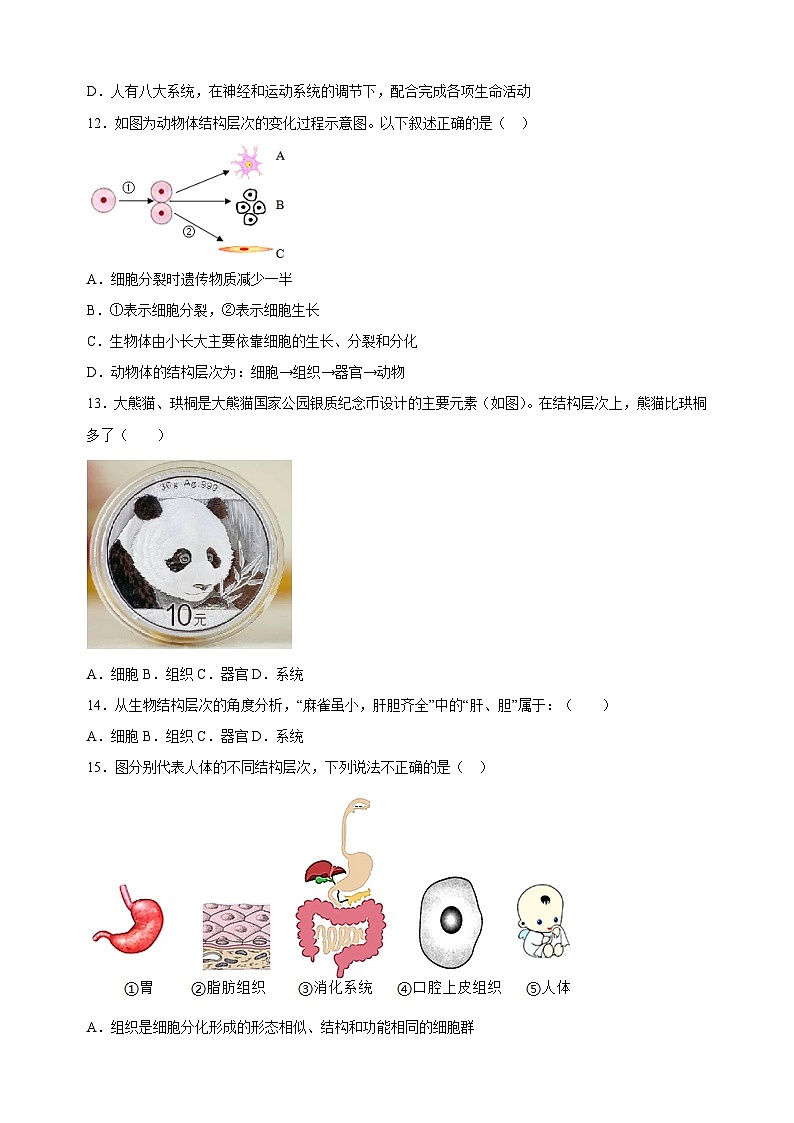 2023-2024学年苏科版七年级生物下册第9章《生物体有相似的结构层次》检测卷（含答案解析）03