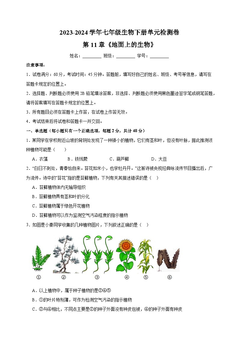 2023-2024学年苏科版七年级生物下册第11章《地面上的生物》检测卷（含答案解析）第1页