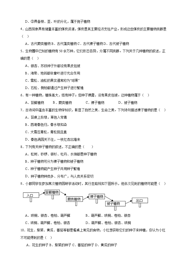 2023-2024学年苏科版七年级生物下册第11章《地面上的生物》检测卷（含答案解析）第2页
