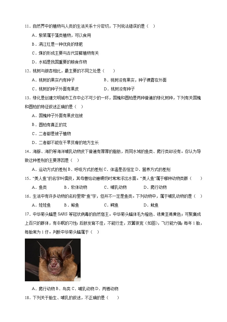 2023-2024学年苏科版七年级生物下册第11章《地面上的生物》检测卷（含答案解析）第3页