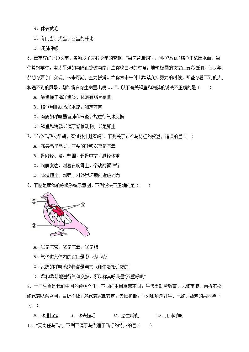 2023-2024学年苏科版七年级生物下册第12章《空中的生物》检测卷（含答案解析）02