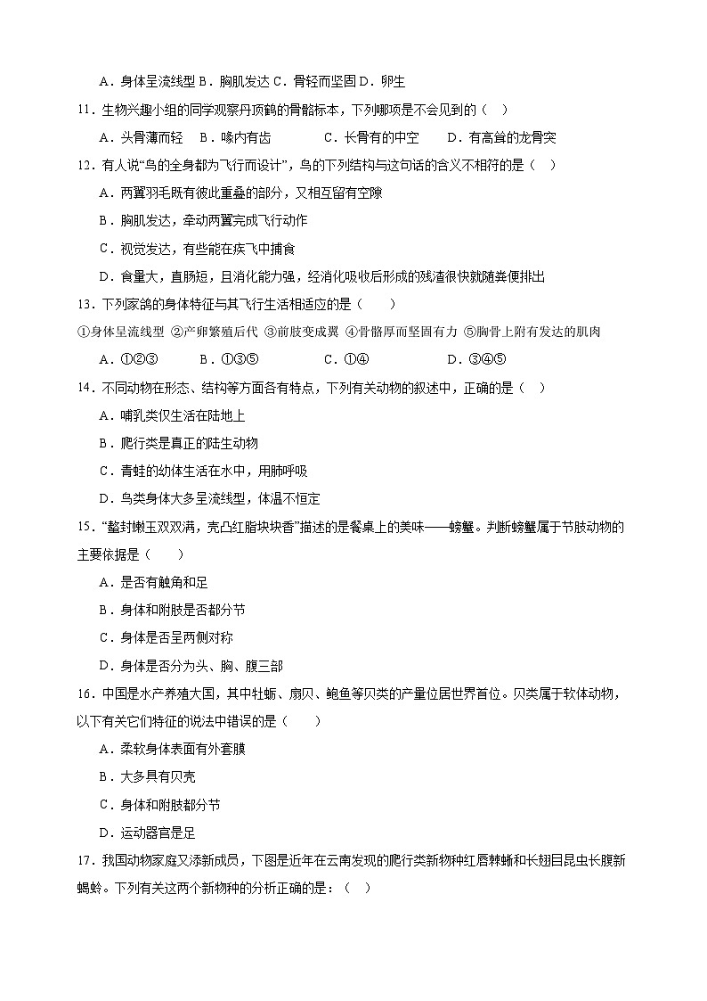 2023-2024学年苏科版七年级生物下册第12章《空中的生物》检测卷（含答案解析）03