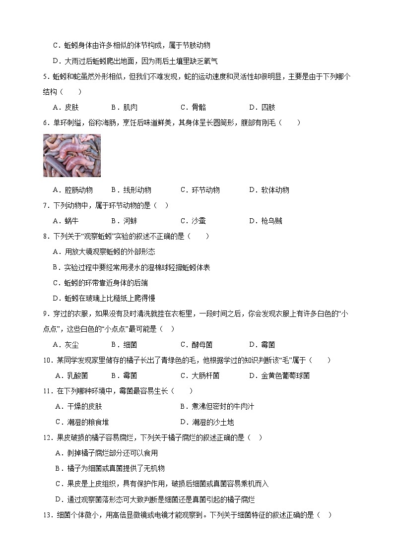 2023-2024学年苏科版七年级生物下册第13章《土壤里的生物》检测卷（含答案解析）02