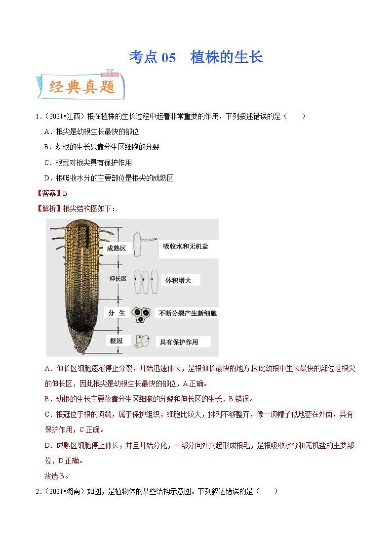 中考生物一轮复习课时练习考点05 植株的生长（含解析）01