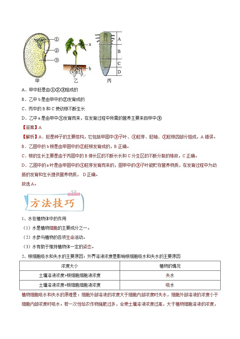 中考生物一轮复习课时练习考点05 植株的生长（含解析）02