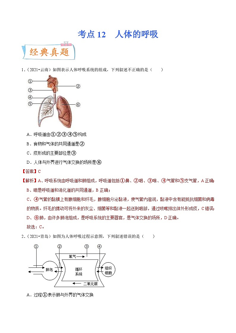 中考生物一轮复习课时练习考点12 人体的呼吸（含解析）01