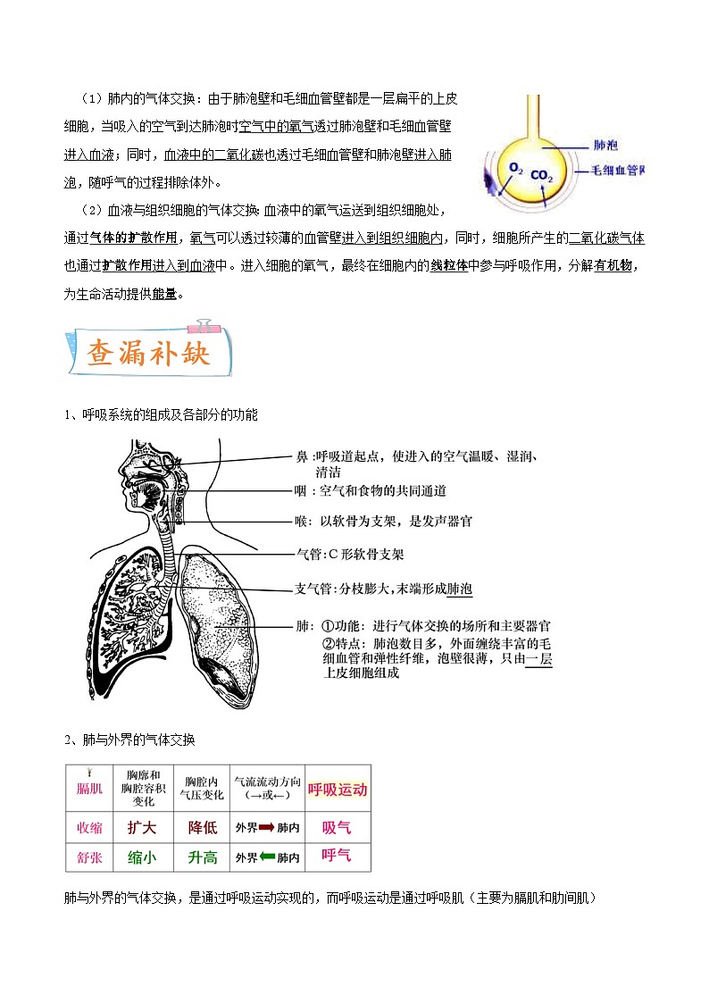 中考生物一轮复习课时练习考点12 人体的呼吸（含解析）03