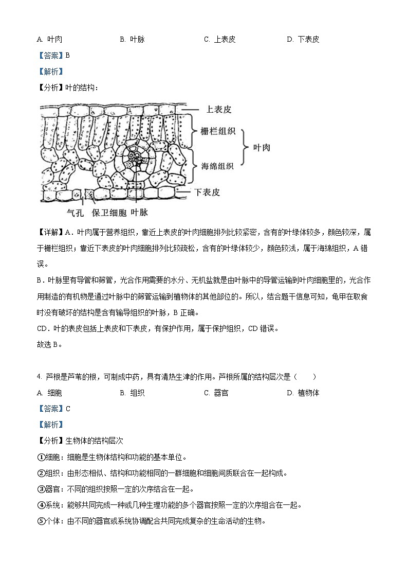 2022年湖南省长沙市中考生物真题（含解析）第2页