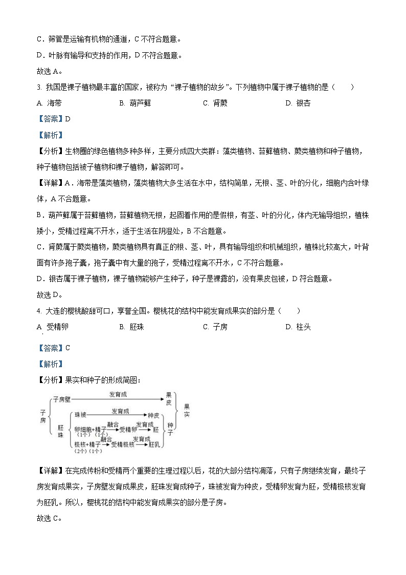 2022年辽宁省大连市中考生物真题  （含解析）02