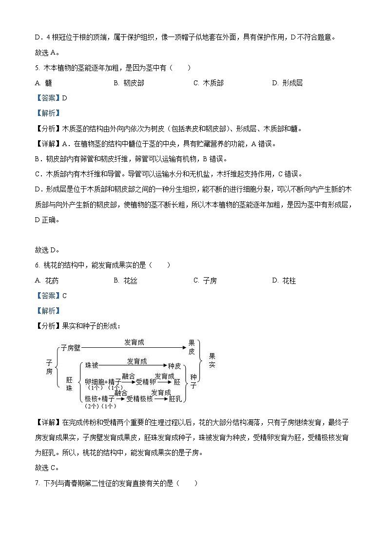 2022年辽宁省沈阳市生物中考真题（含解析）03