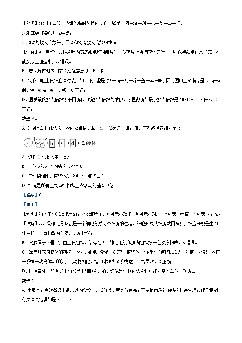 2022年山东省滨州市中考生物真题（含解析）02