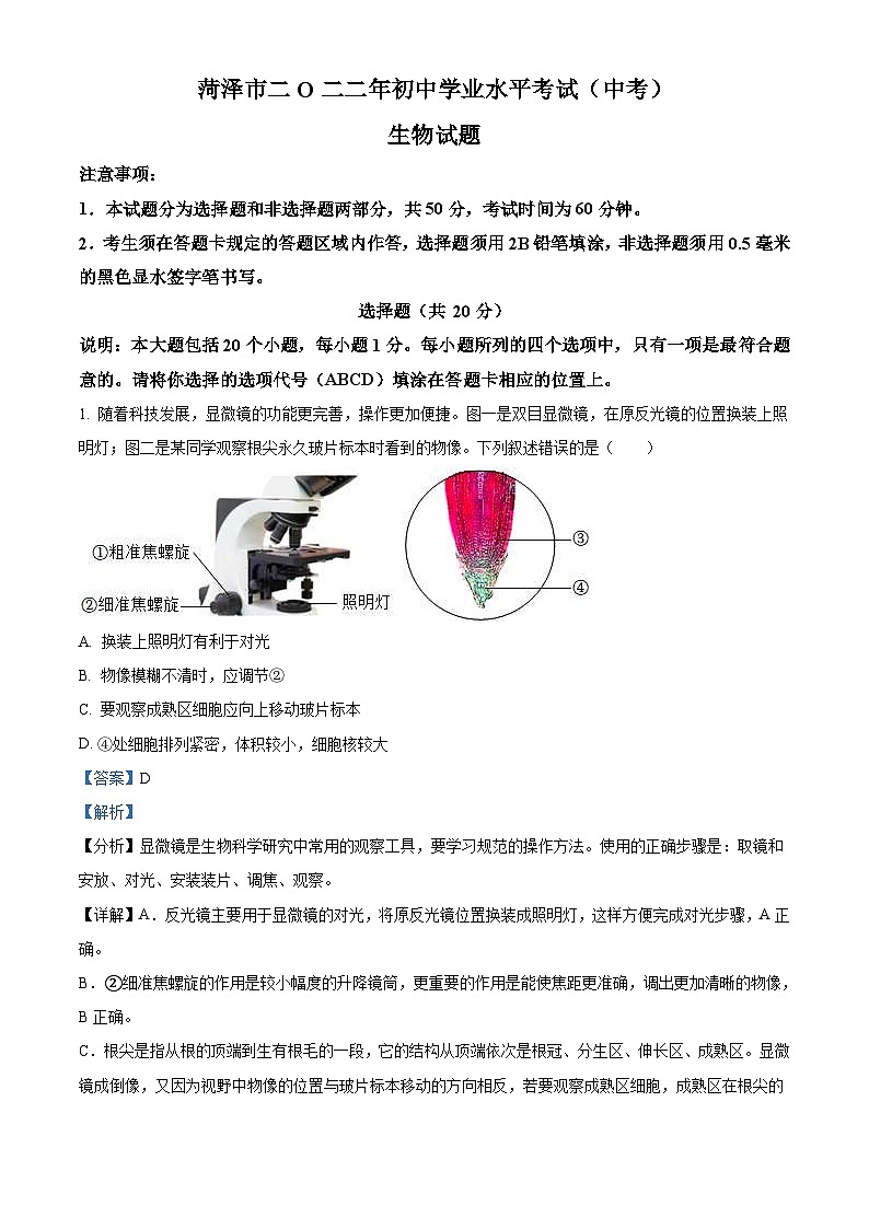 2022年山东省菏泽市中考生物真题（含解析）01