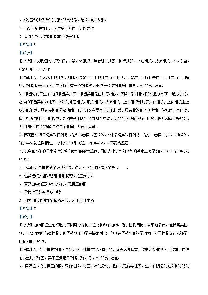 2022年山东省菏泽市中考生物真题（含解析）03