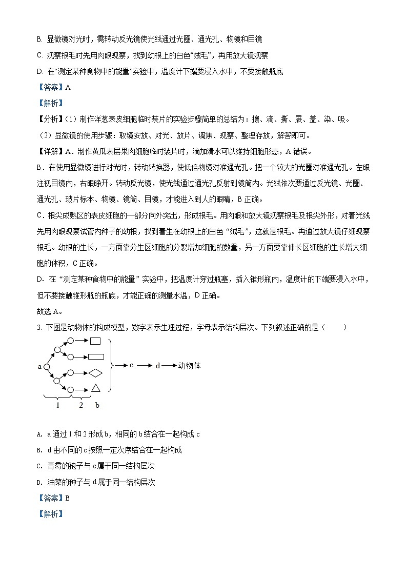 2022年山东省泰安市中考生物真题（含解析）02