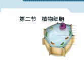 2.1.2植物细胞课件2023--2024学年人教版生物七年级上册