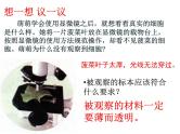 2.1.2植物细胞课件2023--2024学年人教版生物七年级上册