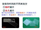 2.1.2植物细胞课件2023--2024学年人教版生物七年级上册