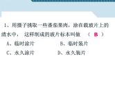 2.1.2植物细胞课件2023--2024学年人教版生物七年级上册