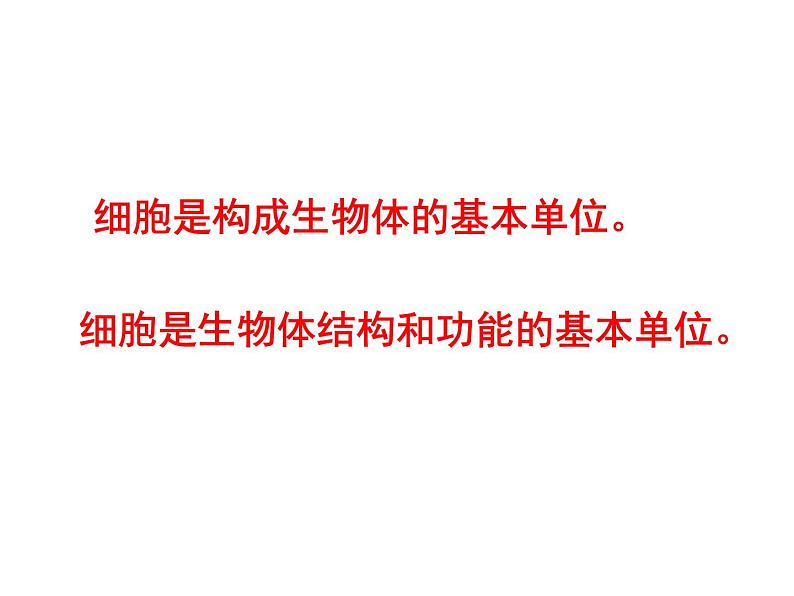 2.1.3动物细胞课件2023--2024学年人教版生物七年级上册第6页