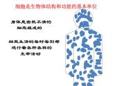 2.1.4细胞的生活课件2023--2024学年人教版生物七年级上册