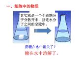 2.1.4细胞的生活课件2023--2024学年人教版生物七年级上册
