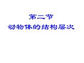 2.2.2动物体的结构层次课件2023--2024学年人教版生物七年级上册