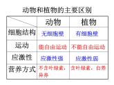 2.2.4单细胞生物课件2023--2024学年人教版生物七年级上册