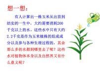 初中人教版 (新课标)第三章 绿色植物与生物圈的水循环教课内容ppt课件