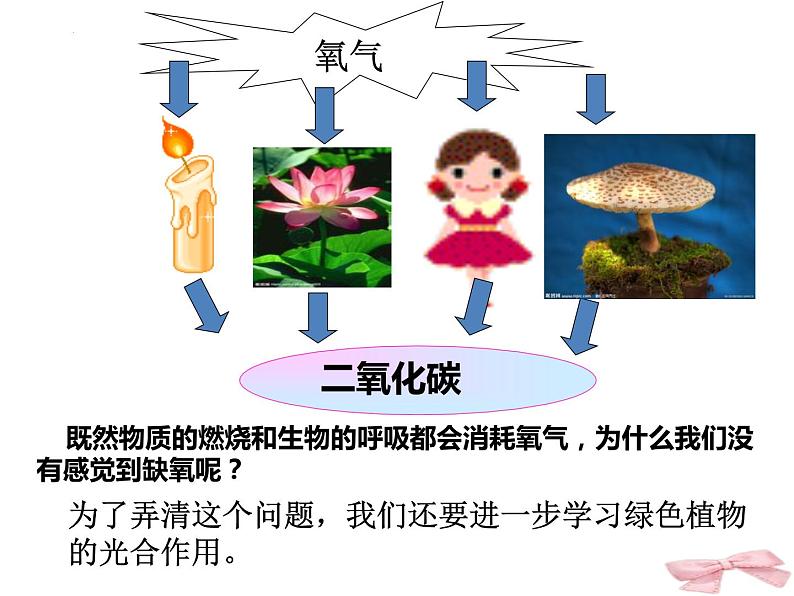 3.5.1光合作用吸收二氧化碳释放氧气课件2023--2024学年人教版生物七年级上册01