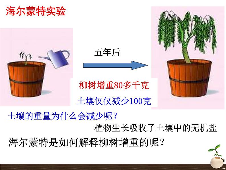 3.5.1光合作用吸收二氧化碳释放氧气课件2023--2024学年人教版生物七年级上册04