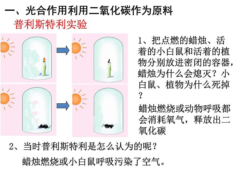 3.5.1光合作用吸收二氧化碳释放氧气课件2023--2024学年人教版生物七年级上册07