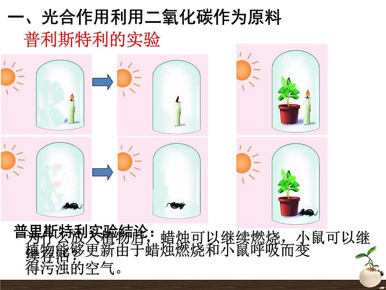 3.5.1光合作用吸收二氧化碳释放氧气课件2023--2024学年人教版生物七年级上册08