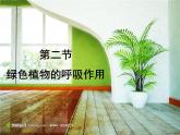 3.5.2绿色植物的呼吸作用课件2023--2024学年人教版生物七年级上册