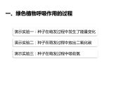 3.5.2绿色植物的呼吸作用课件2023--2024学年人教版生物七年级上册