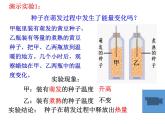 3.5.2绿色植物的呼吸作用课件2023--2024学年人教版生物七年级上册