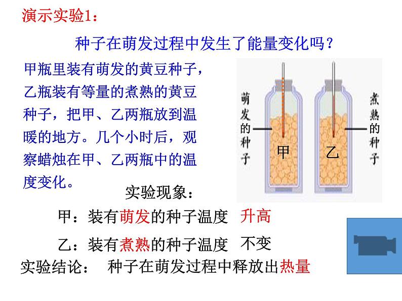 3.5.2绿色植物的呼吸作用课件2023--2024学年人教版生物七年级上册04