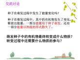 3.5.2绿色植物的呼吸作用课件2023--2024学年人教版生物七年级上册
