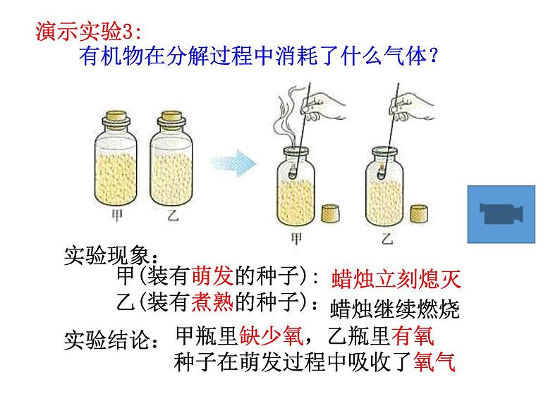 3.5.2绿色植物的呼吸作用课件2023--2024学年人教版生物七年级上册08