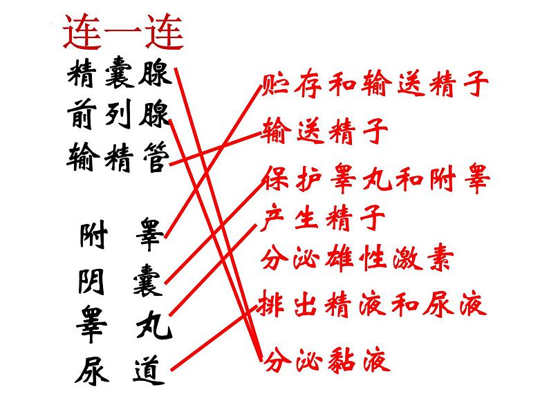 4.1.2人的生殖课件2023--2024学年人教版生物七年级下册第7页