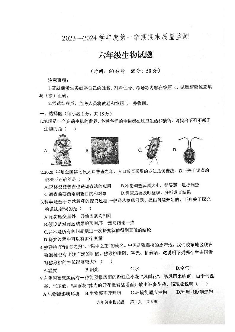 山东省泰安市宁阳县2023-2024学年六年级上学期期末考试生物学试题（无答案）01