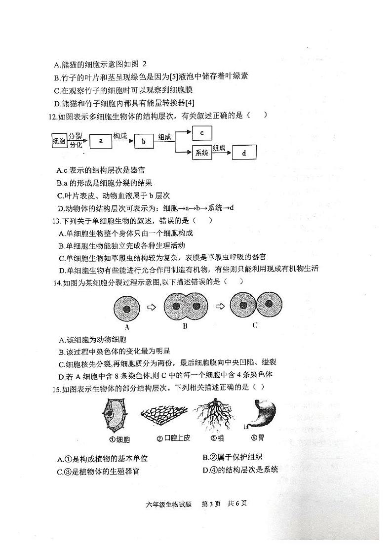 山东省泰安市宁阳县2023-2024学年六年级上学期期末考试生物学试题（无答案）03