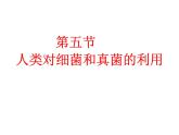 5.4.5人类对细菌和真菌的利用课件2023--2024学年人教版生物八年级上册