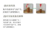 5.4.5人类对细菌和真菌的利用课件2023--2024学年人教版生物八年级上册