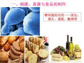 5.4.5人类对细菌和真菌的利用课件2023--2024学年人教版生物八年级上册