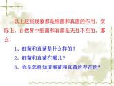 5.4.1细菌和真菌的分布课件2023--2024学年人教版生物八年级上册