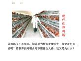 5.4.1细菌和真菌的分布课件2023--2024学年人教版生物八年级上册