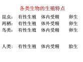 4.3++人类的生殖和发育++单元整体复习课件-2023-2024学年济南版生物八年级上册
